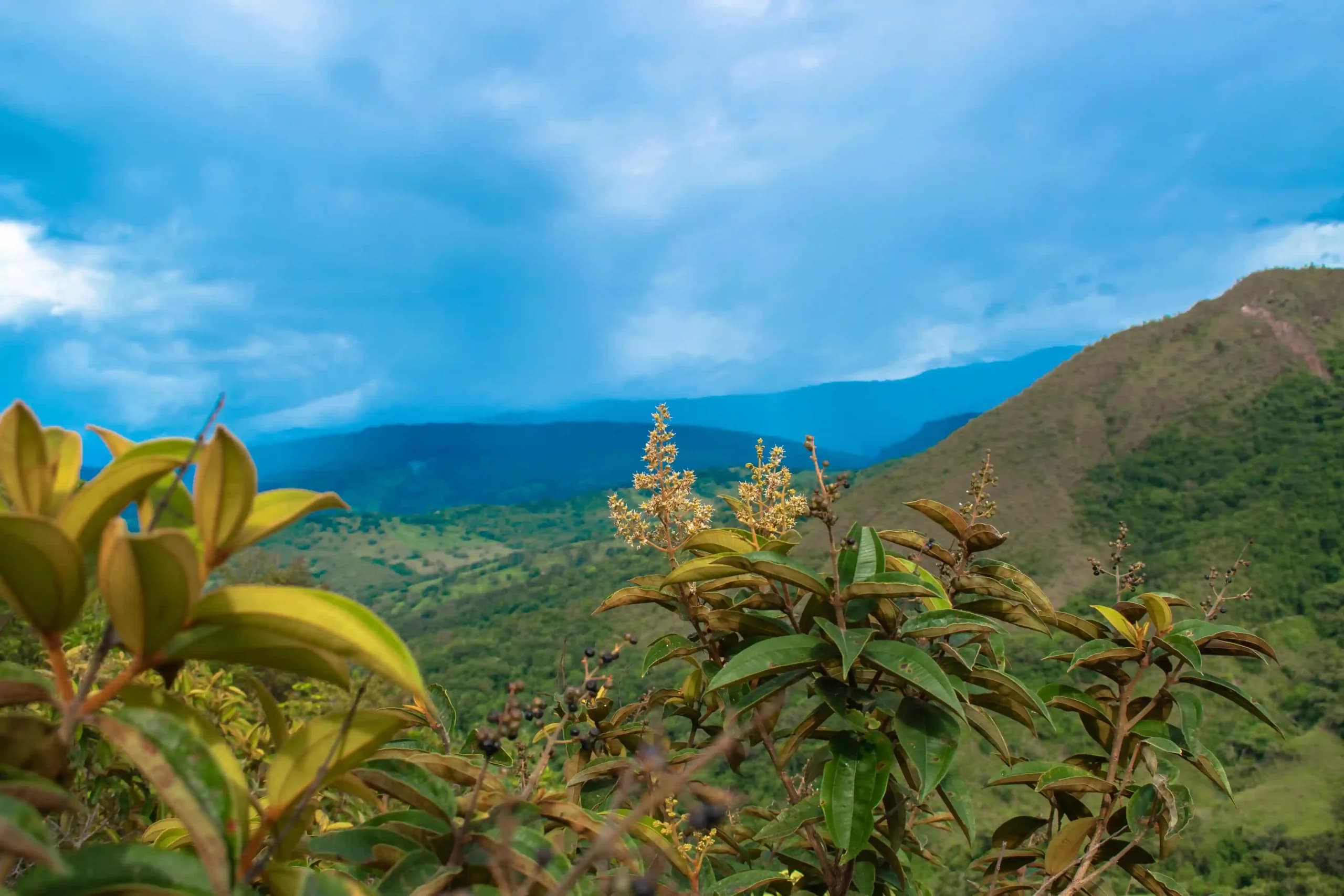 Paisaje MonteAzul Club Náutico
